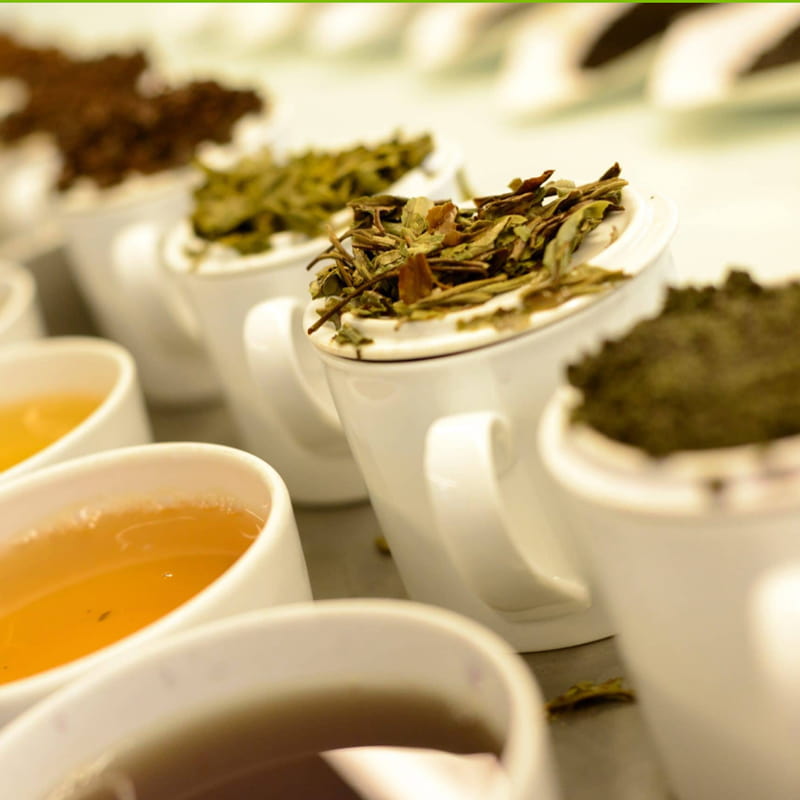 Extractos de té en polvo